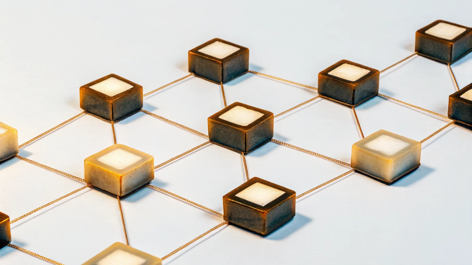 THE DATA MODEL