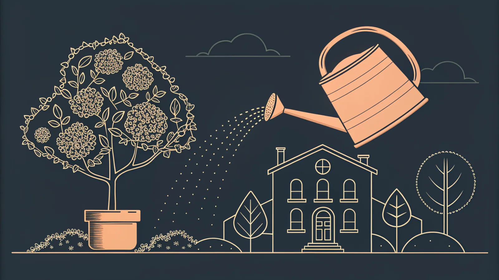 WORDPRESS CARE PLANS